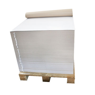 Παροχέας χαρτιού Κίνας 170g 180g 210g 230g 250g 300gsm Ελεφαντόδοντο FBB C1S Λευκό χαρτόνι