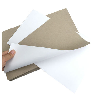 Μία πλευρά λευκή πλακέτα χαρτιού 200Gsm 230Gsm 250Gsm 300Gsm 350Gsm 400Gsm 450Gsm