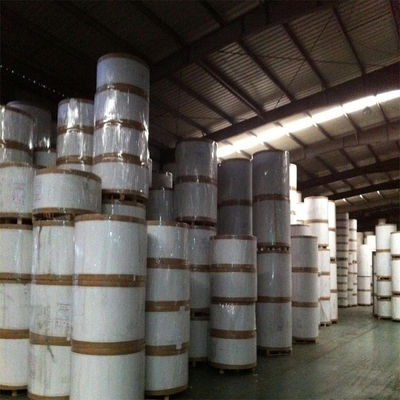 Λευκό χαρτί ελεφαντόδοντου SBS 230/250/300/350gsm C1S
