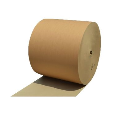 Περιβαλλοντικά φιλικό Custom Kraft Paper Single Double Wall Pe Coated Roll