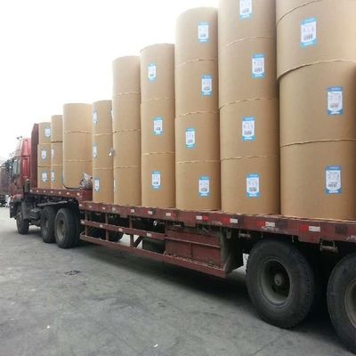 Περιβαλλοντικά φιλικό Custom Kraft Paper Single Double Wall Pe Coated Roll
