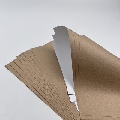 Πίνακα χρώματος επικάλυψης λευκή κορυφή Kraft Liner Paper Jumbo Roll με υλικό επικάλυψης PE προσιτό