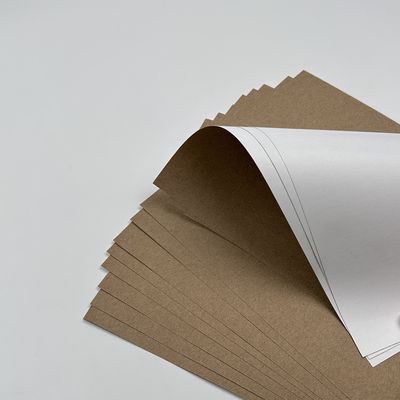 Πίνακα χρώματος επικάλυψης λευκή κορυφή Kraft Liner Paper Jumbo Roll με υλικό επικάλυψης PE προσιτό