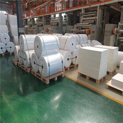 OEM Υψηλής πυκνότητας Αδιάβροχο Χαρτί Λίθου 120um 140um Για Λογισμικό